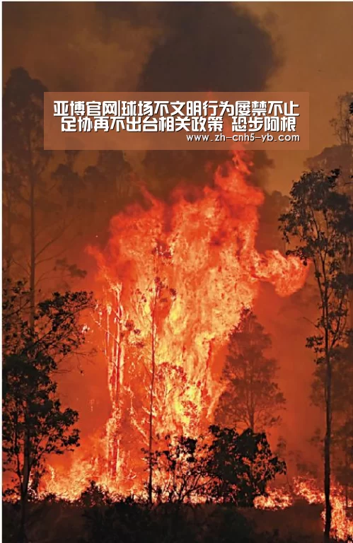 亚博官网|球场不文明行为屡禁不止 足协再不出台相关政策 恐步阿根廷后尘(图3) 亚博官网