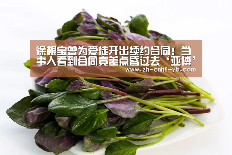 徐根宝曾为爱徒开出续约合同!当事人看到合同竟差点昏过去‘亚博’(图2) 亚博官网