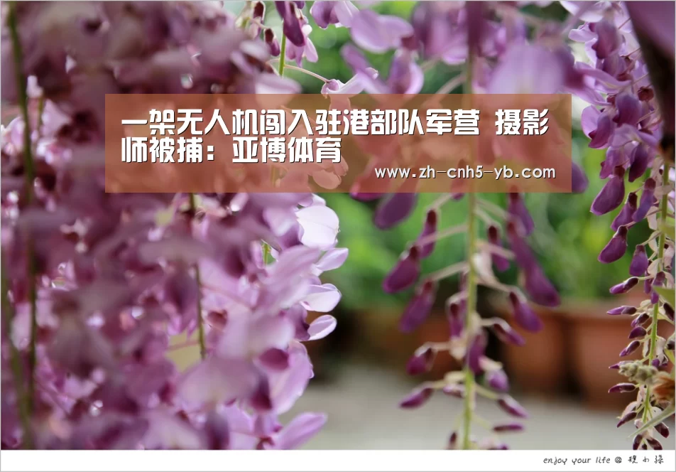 一架无人机闯入驻港部队军营 摄影师被捕:亚博体育(图3) 亚博体育