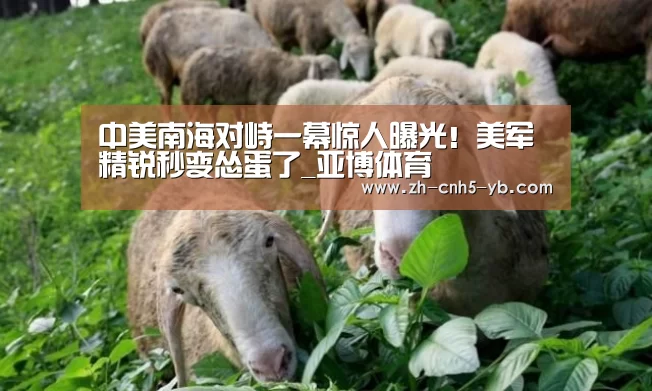 中美南海对峙一幕惊人曝光!美军精锐秒变怂蛋了_亚博体育(图2) 中美南海对峙一幕惊人曝光!美军精锐秒变怂蛋了_亚博体育(图2)