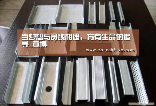 当梦想与灵魂相遇,方有生命的追寻_亚博(图1) 亚博官网