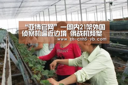 “亚博官网”一周内21架外国侦察机逼近边境 俄战机频繁升空公车暴露调教校花龙虾(图2) 亚博体育