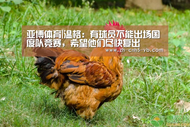 亚博体育