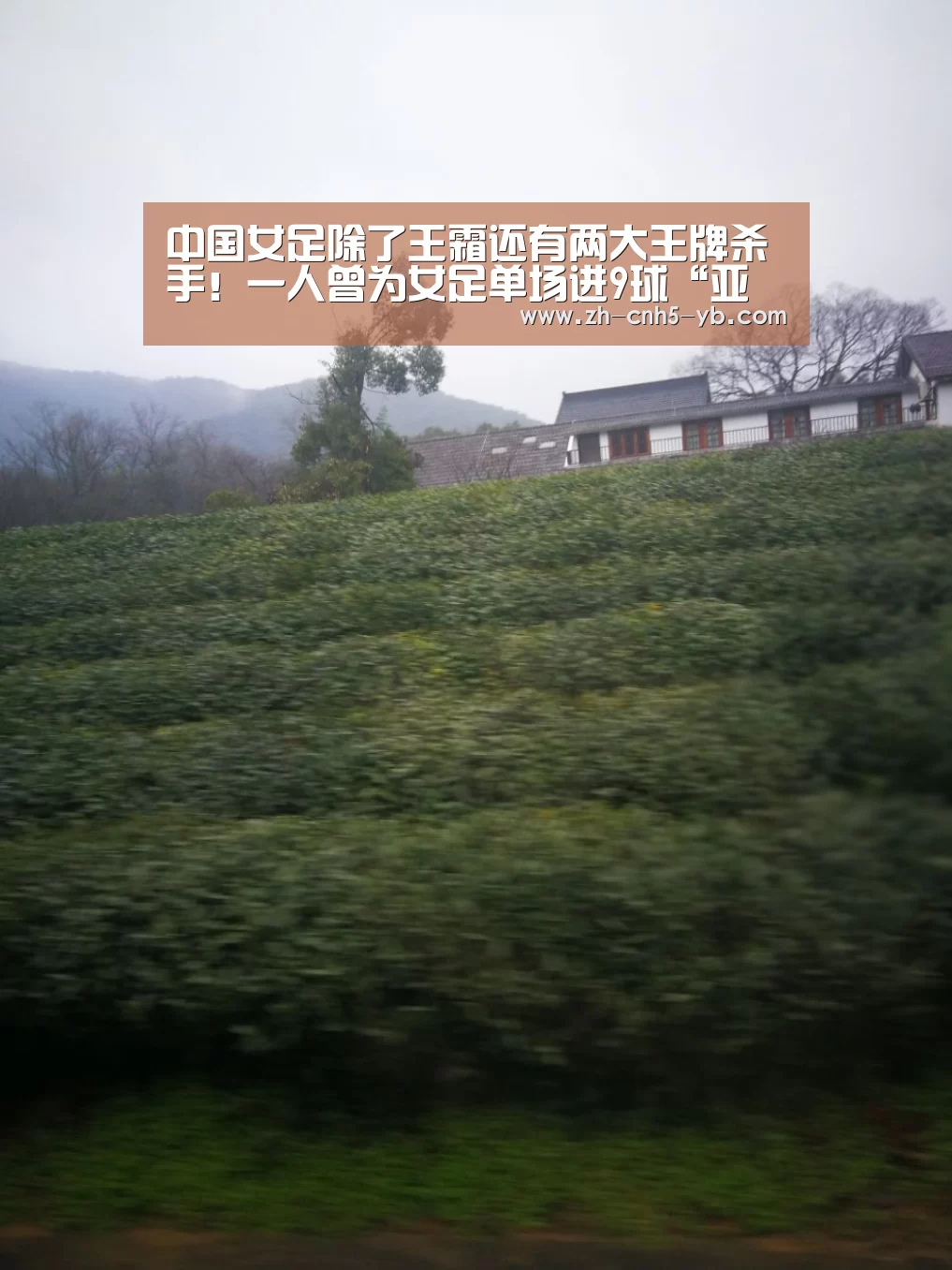 中国女足除了王霜还有两大王牌杀手!一人曾为女足单场进9球“亚博”(图1) 亚博