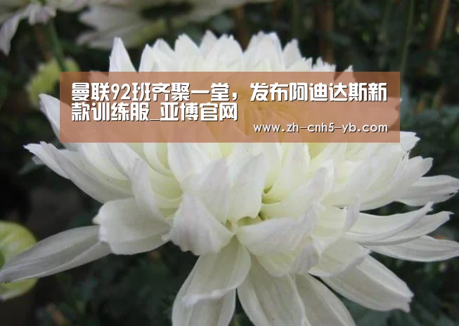 曼联92班齐聚一堂,发布阿迪达斯新款训练服_亚博官网(图3) 亚博官网
