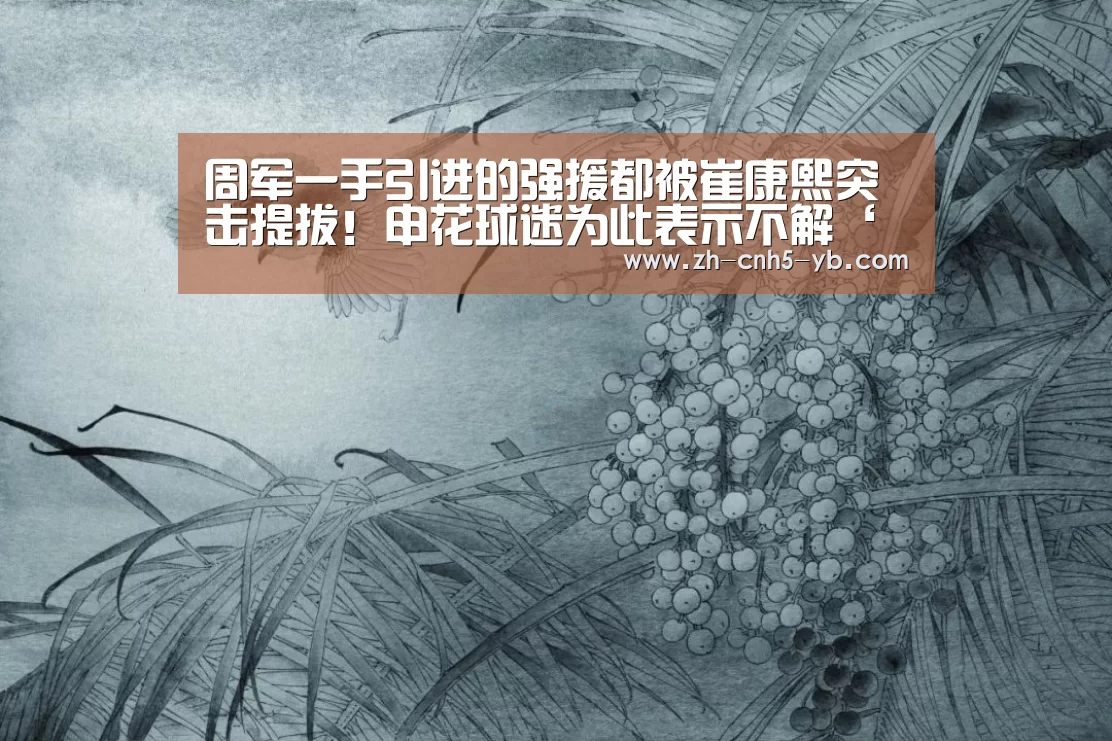 周军一手引进的强援都被崔康熙突击提拔!申花球迷为此表示不解‘亚博’(图3) 周军一手引进的强援都被崔康熙突击提拔!申花球迷为此表示不解‘亚博’(图3)